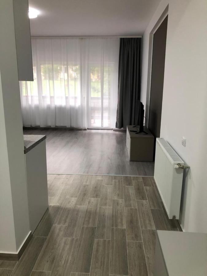 Elena-Maria Apartments Busteni Luaran gambar