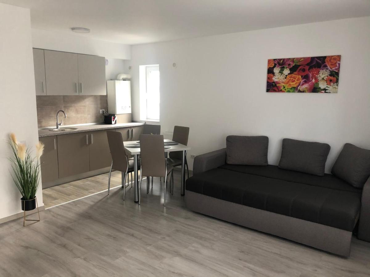 Elena-Maria Apartments Busteni Luaran gambar